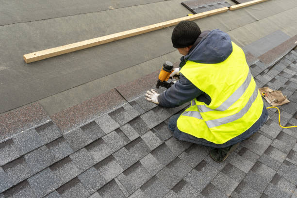 Best Gutter Installation and Roofing  in Pinckneyvle, IL