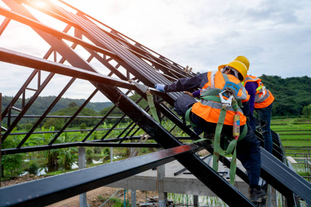 Best Roof Restoration Services  in Pinckneyvle, IL