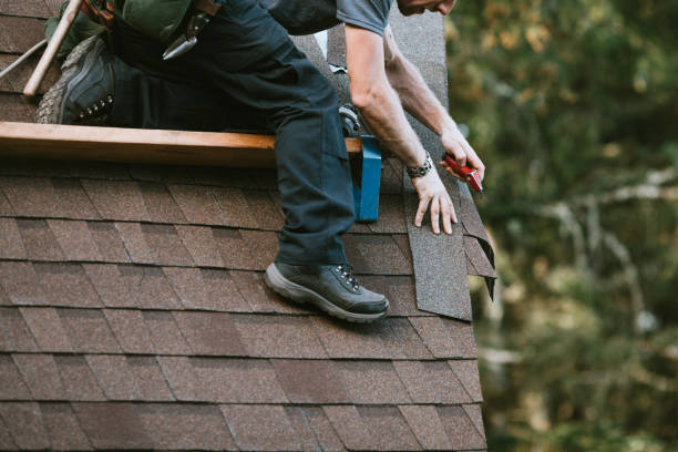 Best Roof Gutter Cleaning  in Pinckneyvle, IL